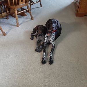 Meet your Posher, Staci